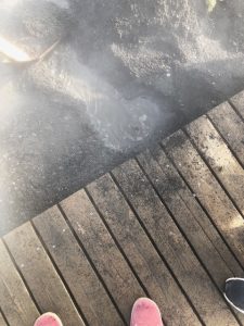 Hússtjórnarskólinn í Reykjavík